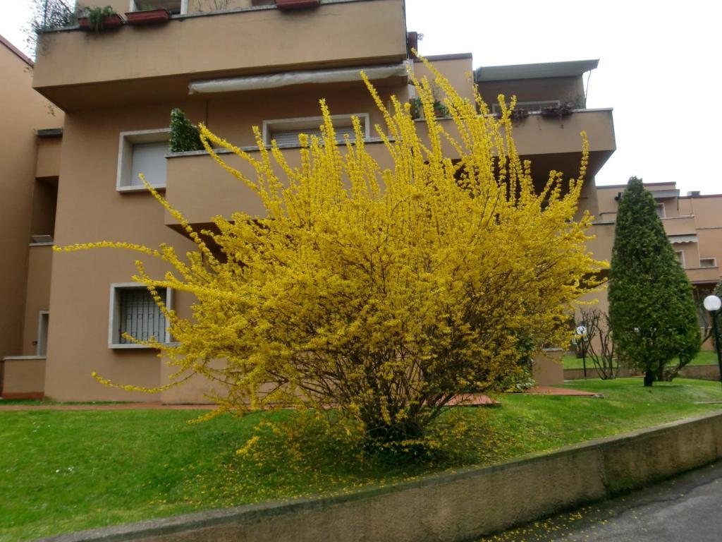 Residence La Madonnina Peschiera del Garda Luaran gambar